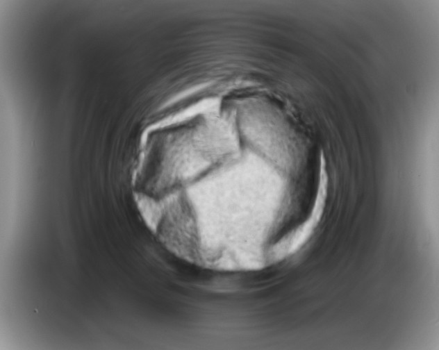 X0000083570178200703091645