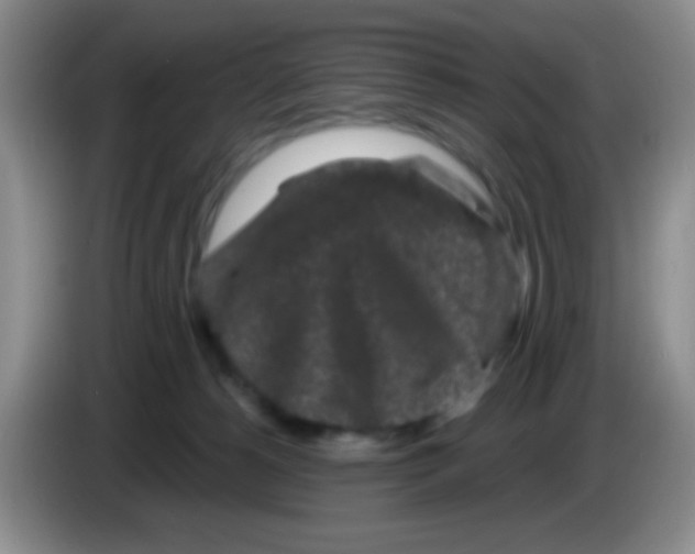 X0000083570180200703091645