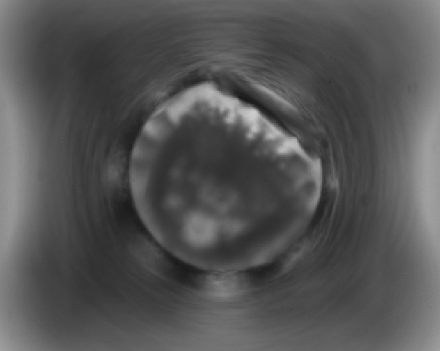 X0000083570181200703091645