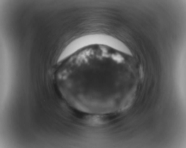 X0000083570182200703091645