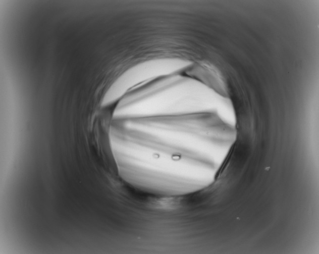 X0000083570184200703091645