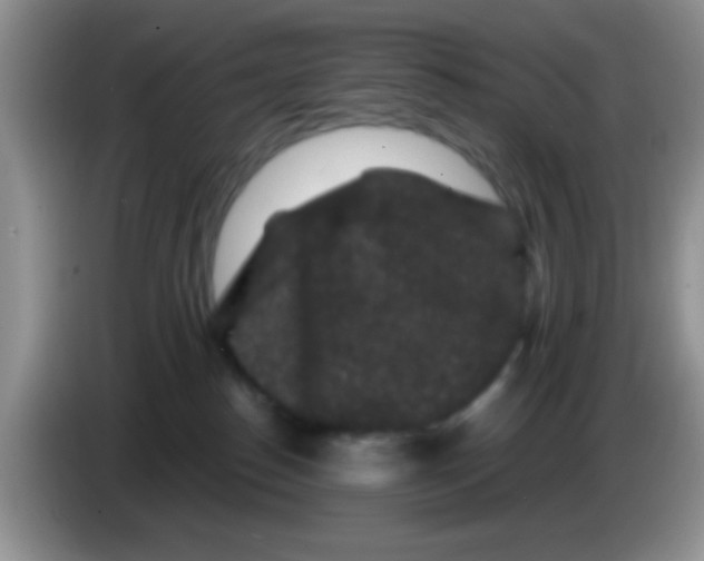 X0000083570186200703091645