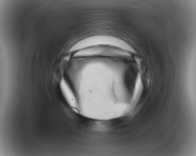 X0000083570188200703091645