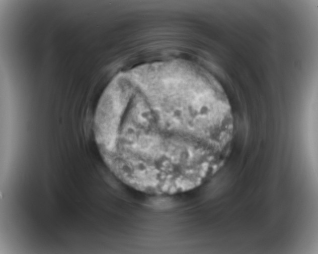 X0000083570189200703091645