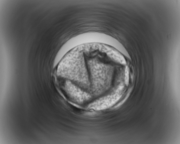 X0000083570190200703091645