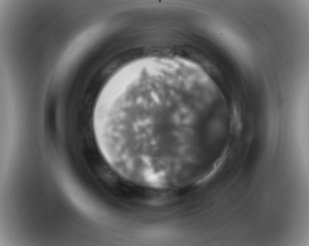 X0000083570191200703091645