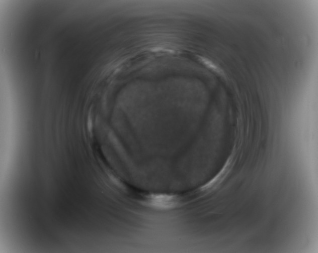 X0000083570192200703091645