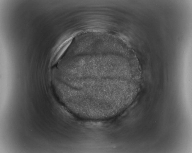 X0000083570194200703091645