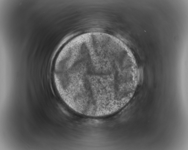 X0000083570195200703091645