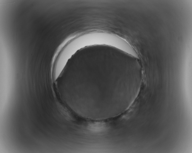 X0000083570196200703091645