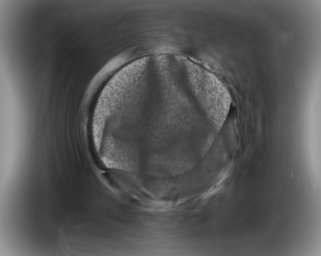 X0000083570197200703091645