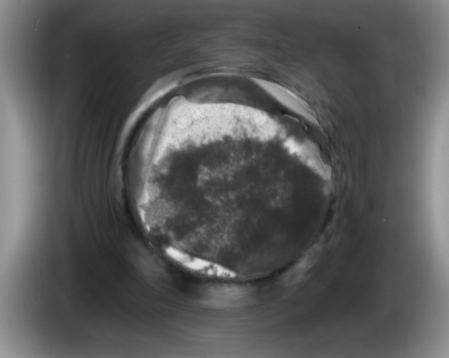 X0000083570198200703091644