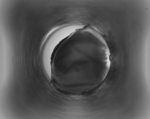 X0000083570200200703091644