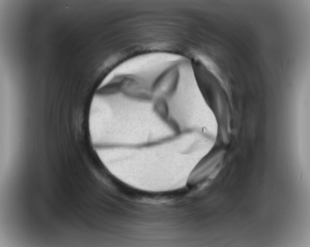 X0000083570201200703091644