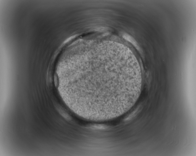 X0000083570203200703091644