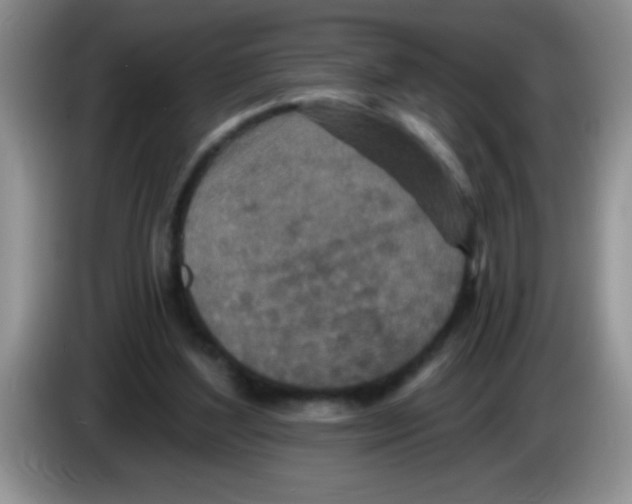 X0000083570204200703091644