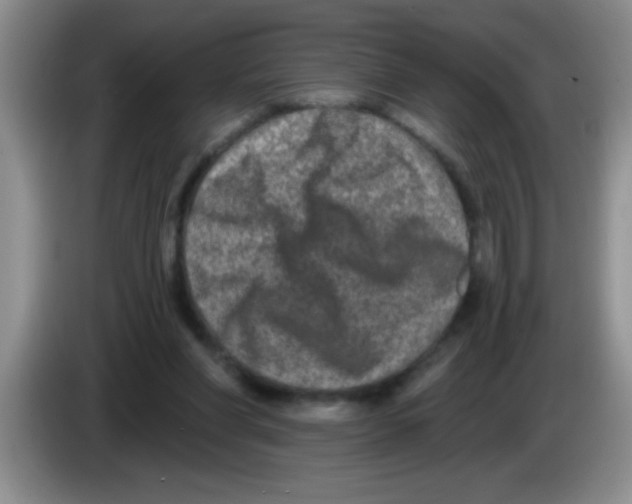 X0000083570206200703091644