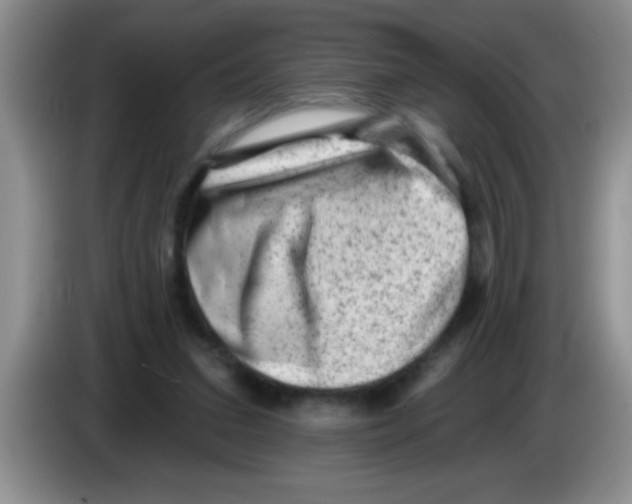 X0000083570207200703091644