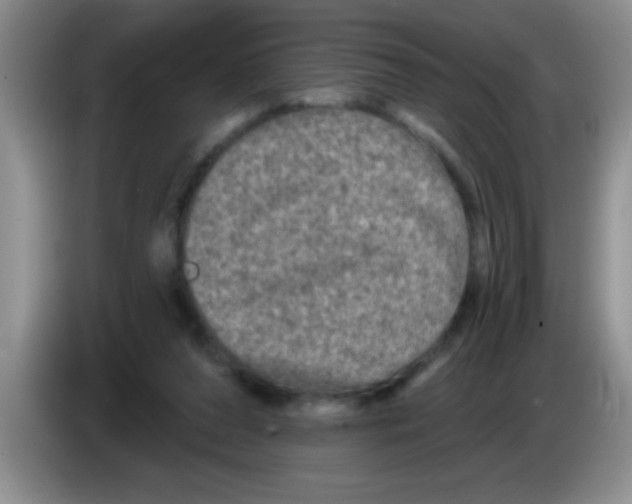 X0000083570208200703091644