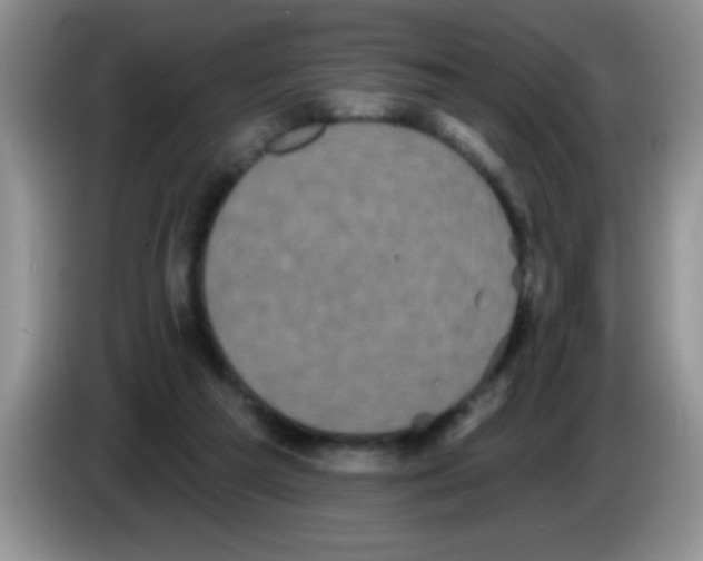 X0000083570209200703091644