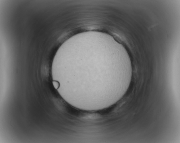 X0000083570210200703091644