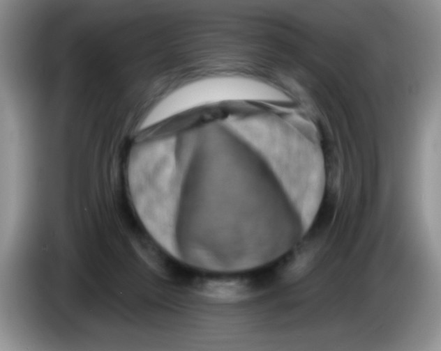 X0000083570213200703091644
