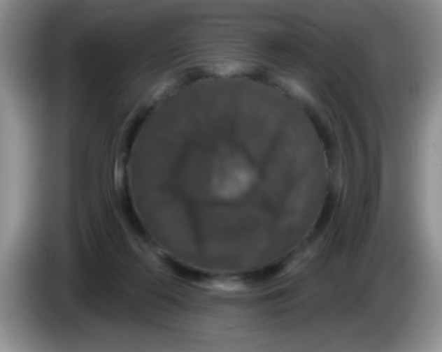 X0000083570214200703091644