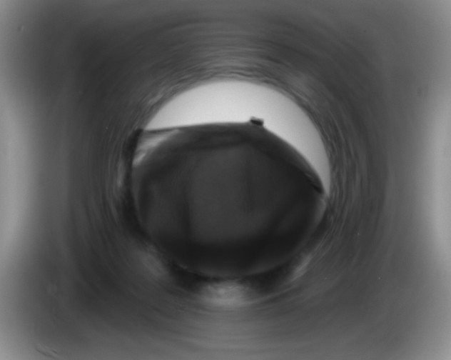 X0000083570219200703091644