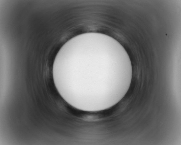X0000083570220200703091644