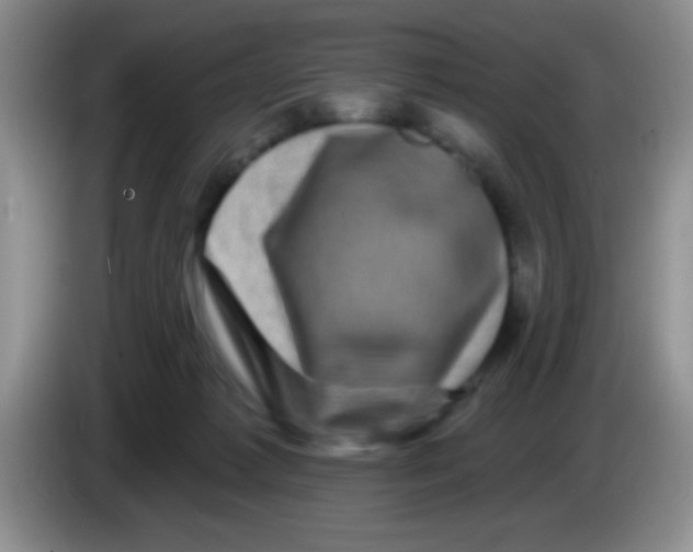 X0000083570221200703091644
