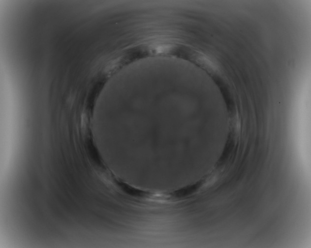 X0000083570222200703091644