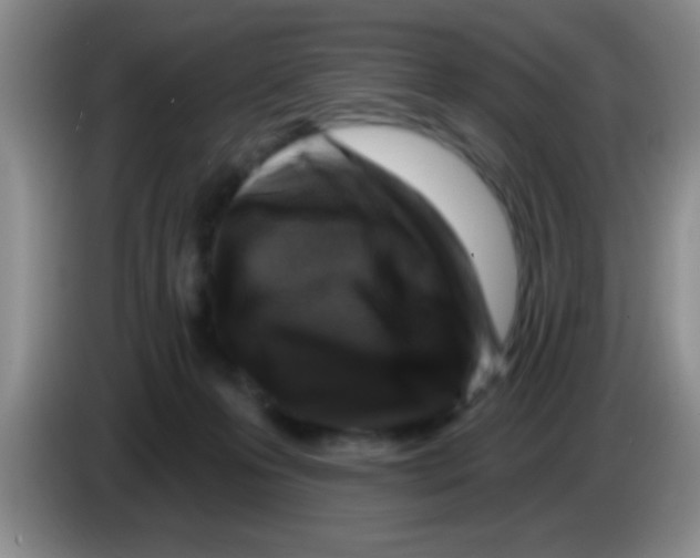 X0000083570223200703091644
