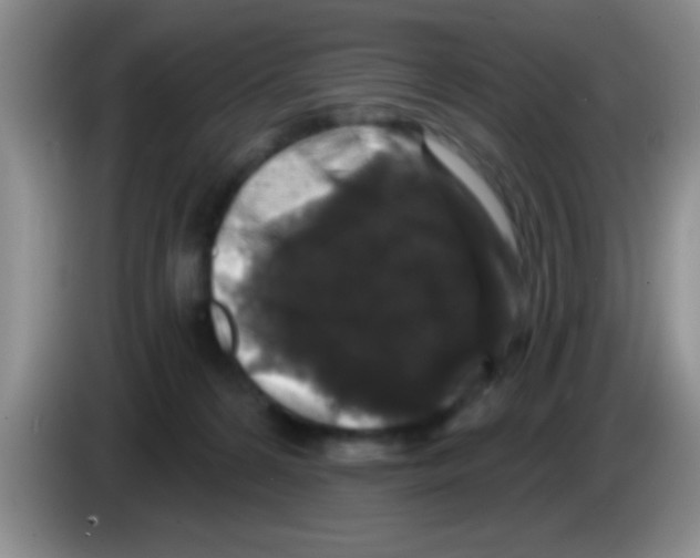 X0000083570224200703091644