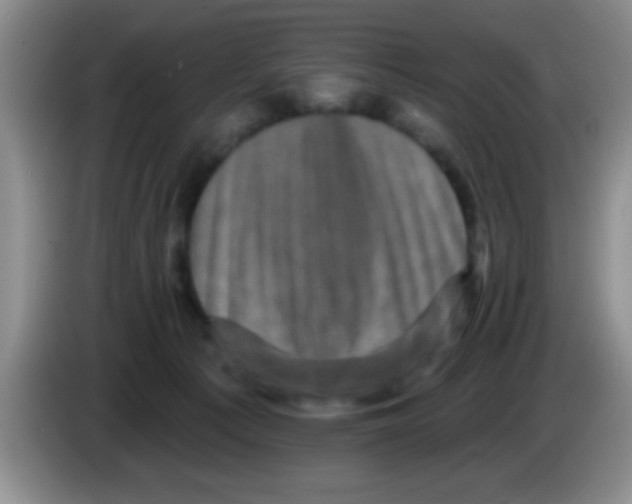 X0000083570225200703091644