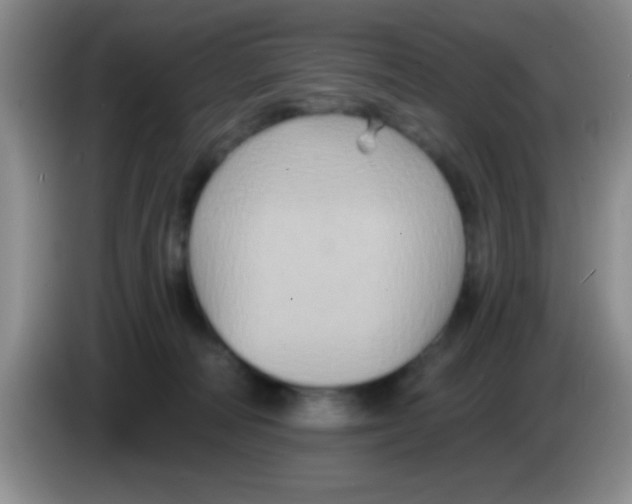 X0000083570226200703091644