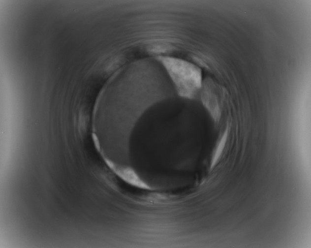 X0000083570227200703091644