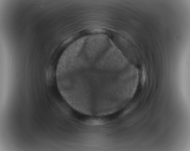X0000083570228200703091644