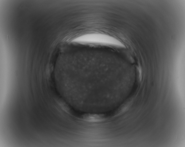 X0000083570229200703091644
