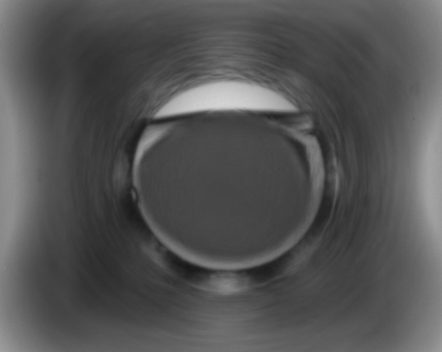 X0000083570231200703091644