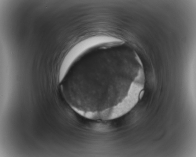 X0000083570232200703091644