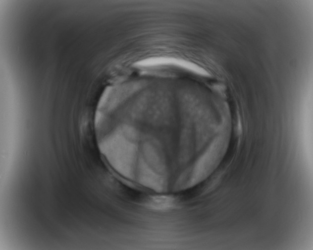 X0000083570233200703091644