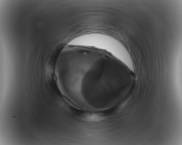 X0000083570235200703091644