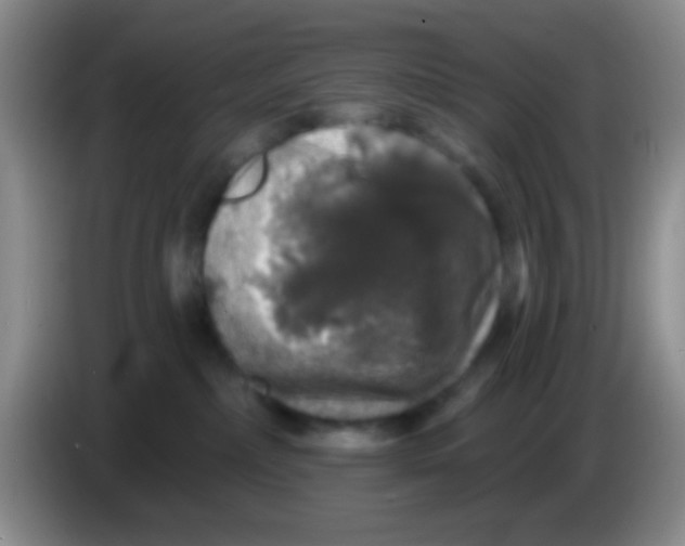 X0000083570236200703091644