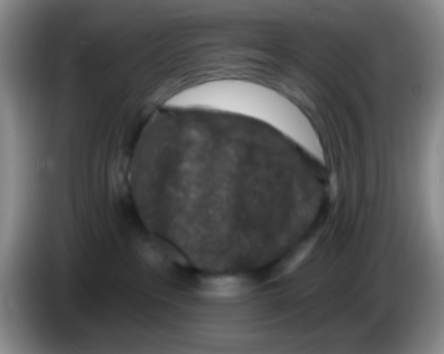 X0000083570237200703091644