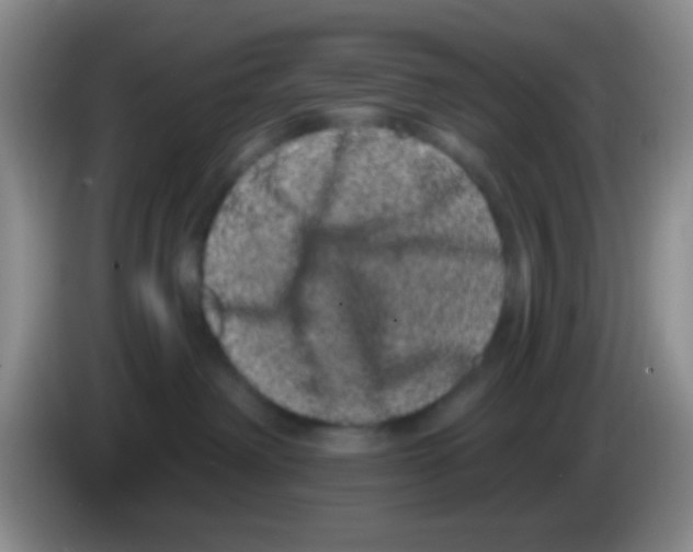 X0000083570238200703091644