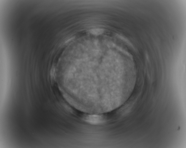 X0000083570240200703091644