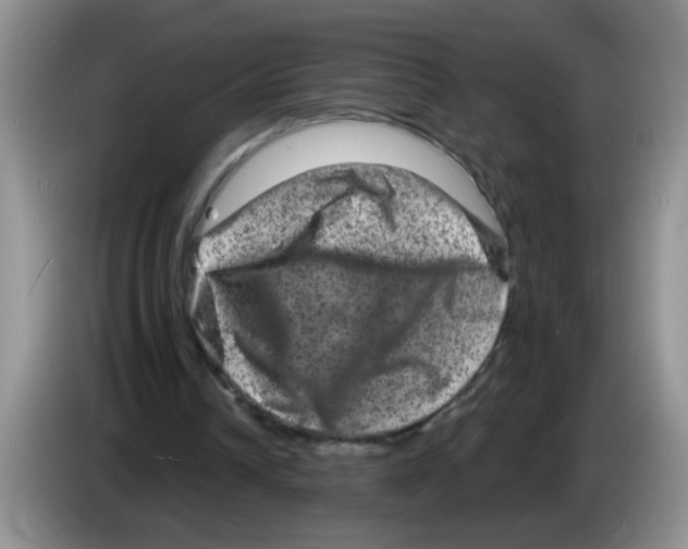 X0000083570242200703091643