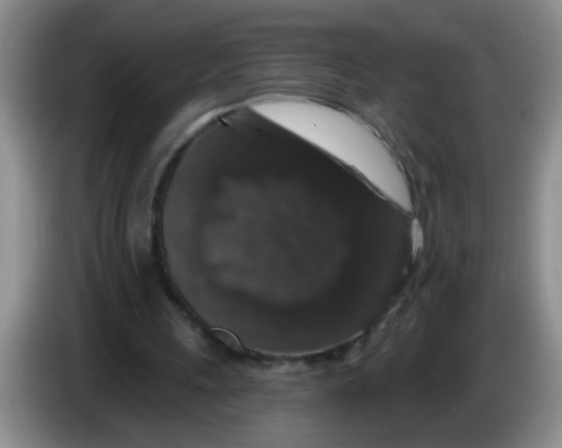 X0000083570243200703091643