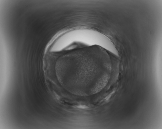 X0000083570244200703091643