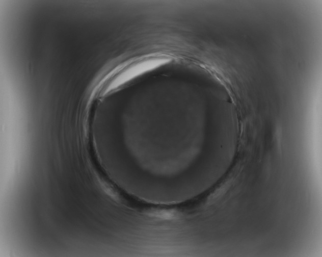 X0000083570247200703091643